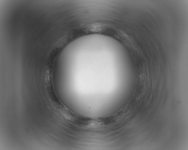 X0000073950555200609111653