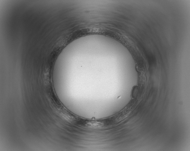 X0000073950557200609111653