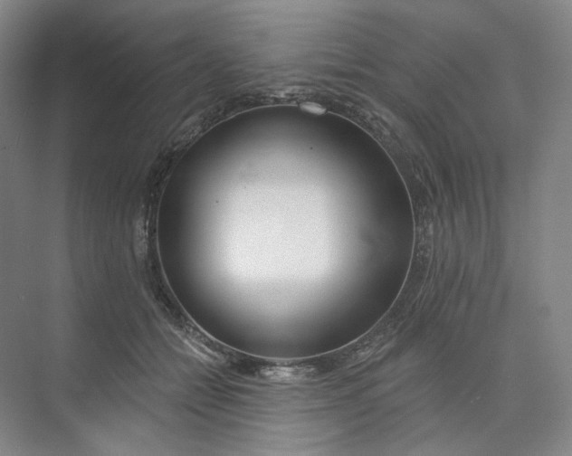 X0000073950558200609111653