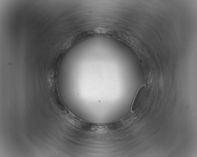 X0000073950559200609111653