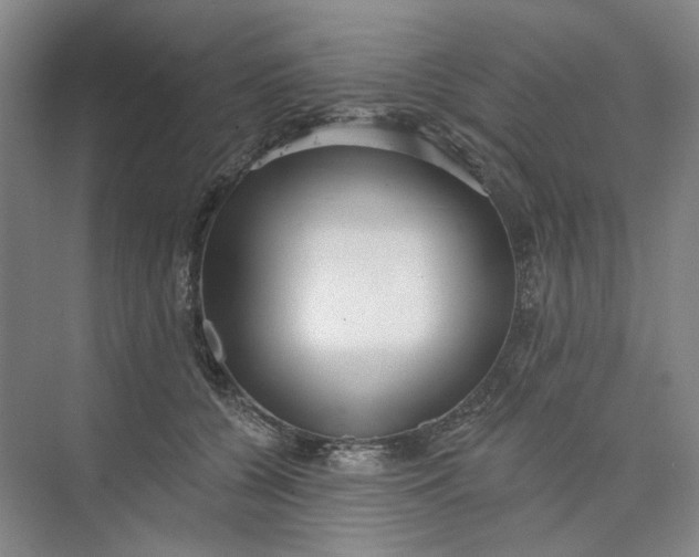 X0000073950560200609111653