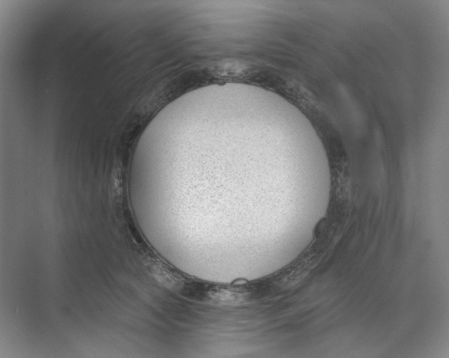 X0000073950561200609111653