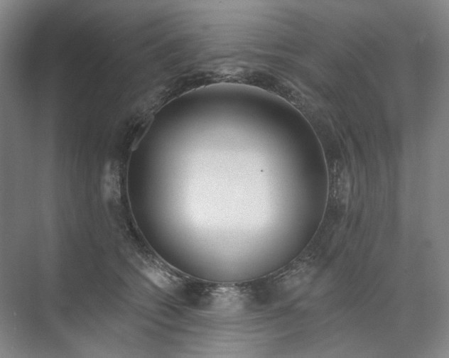 X0000073950562200609111653