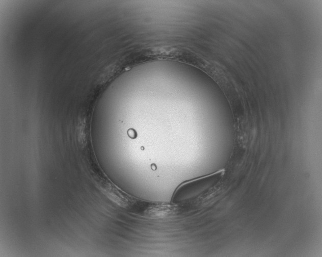 X0000073950563200609111653