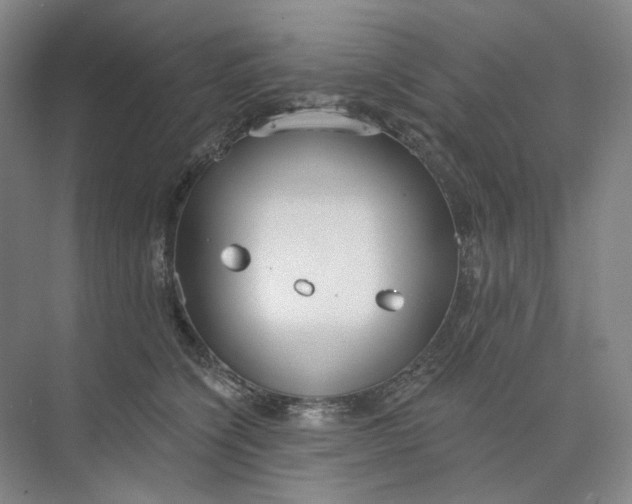 X0000073950564200609111653