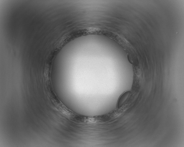 X0000073950565200609111653