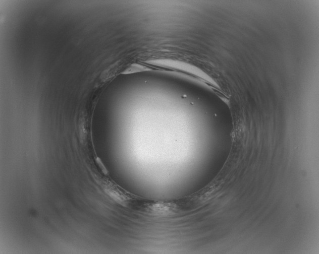 X0000073950566200609111653