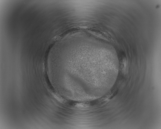 X0000073950568200609111653