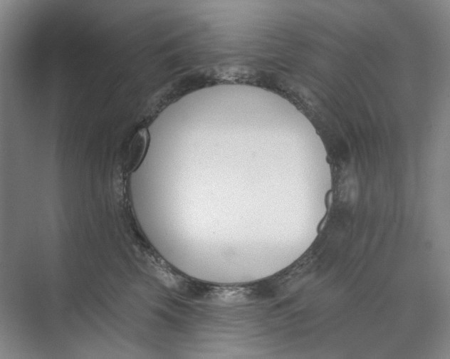 X0000073950569200609111653