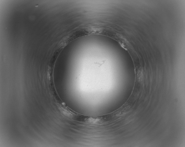 X0000073950570200609111653