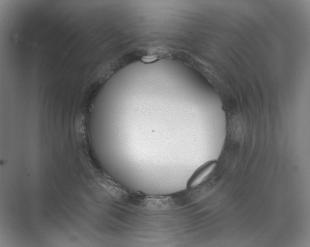 X0000073950571200609111653