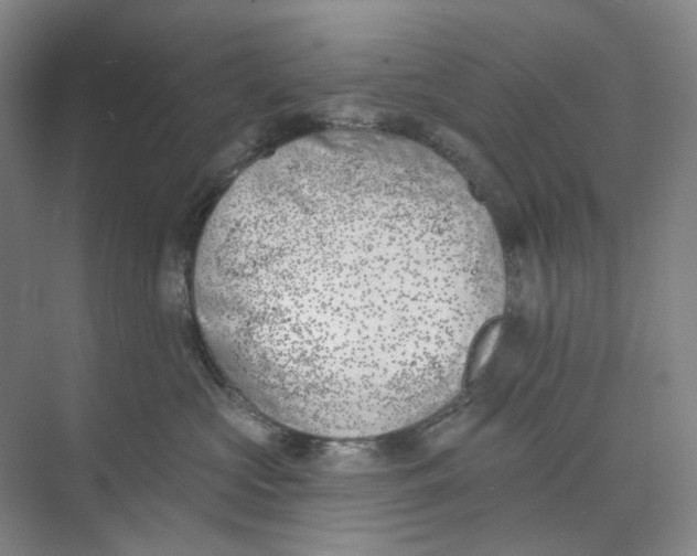 X0000073950573200609111653