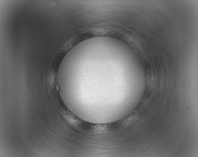 X0000073950574200609111653