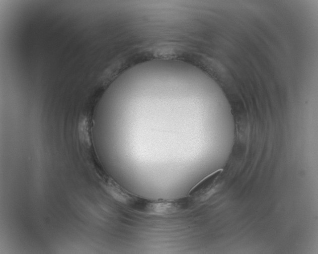 X0000073950575200609111653