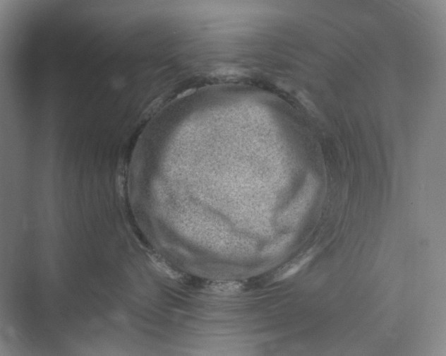 X0000073950576200609111653