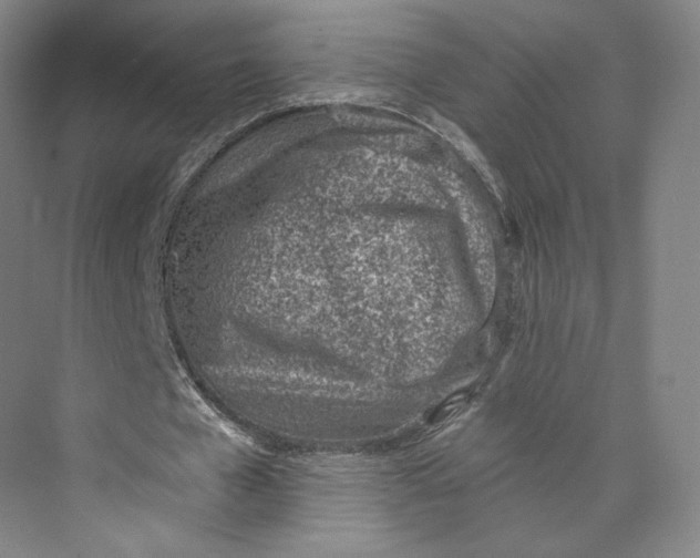 X0000073950577200609111652