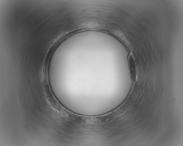 X0000073950579200609111652