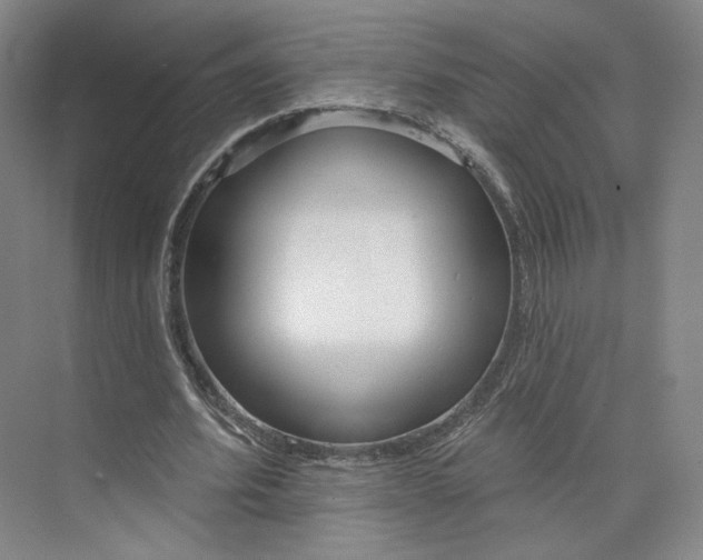 X0000073950580200609111652