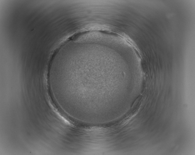 X0000073950581200609111652