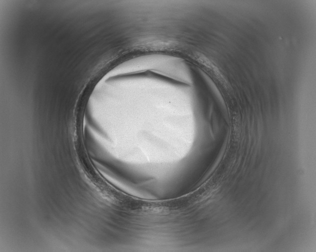 X0000073950582200609111652