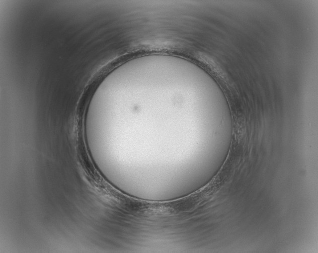 X0000073950583200609111652