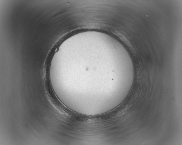 X0000073950584200609111652