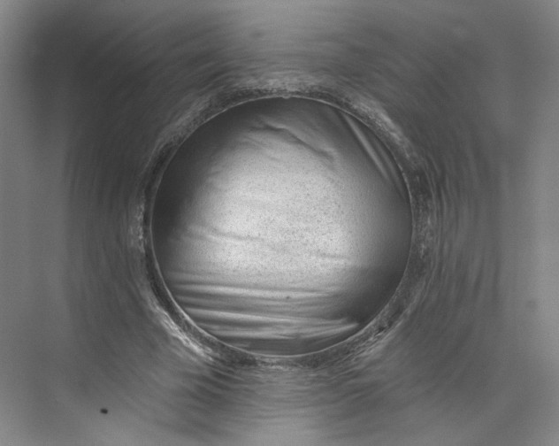 X0000073950585200609111652