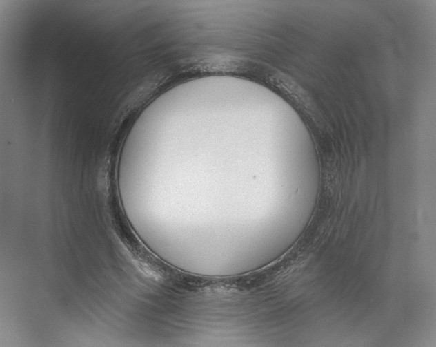 X0000073950586200609111652