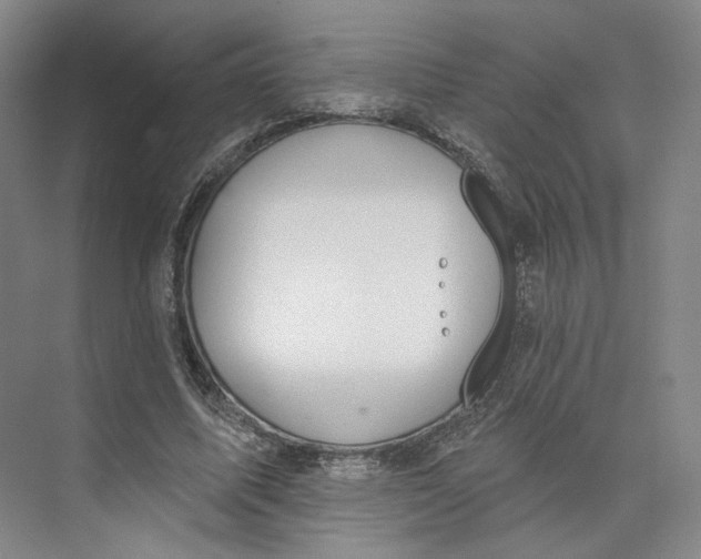 X0000073950587200609111652