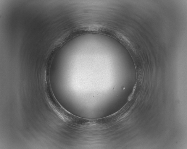 X0000073950589200609111652