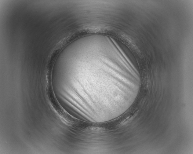 X0000073950590200609111652