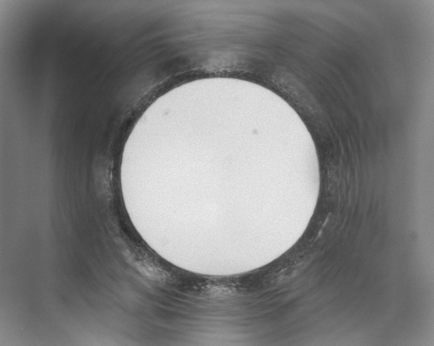 X0000073950592200609111652