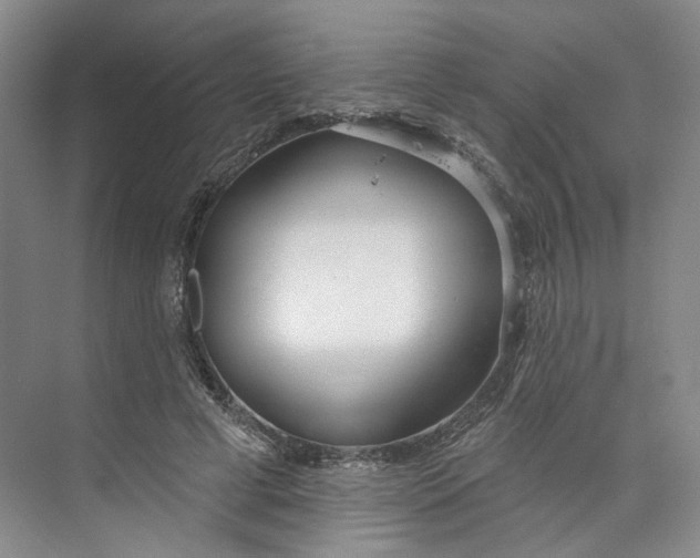 X0000073950593200609111652