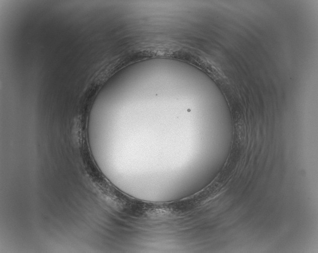 X0000073950594200609111652