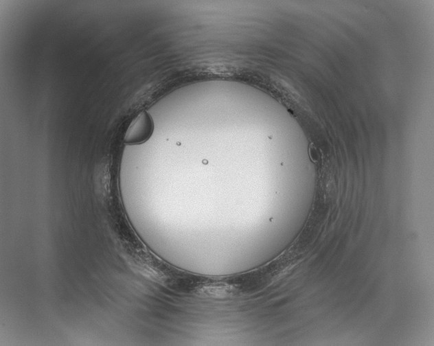 X0000073950595200609111652