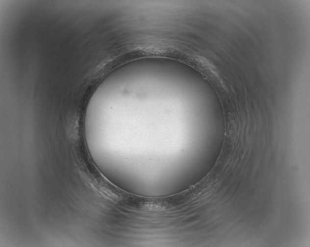 X0000073950596200609111652