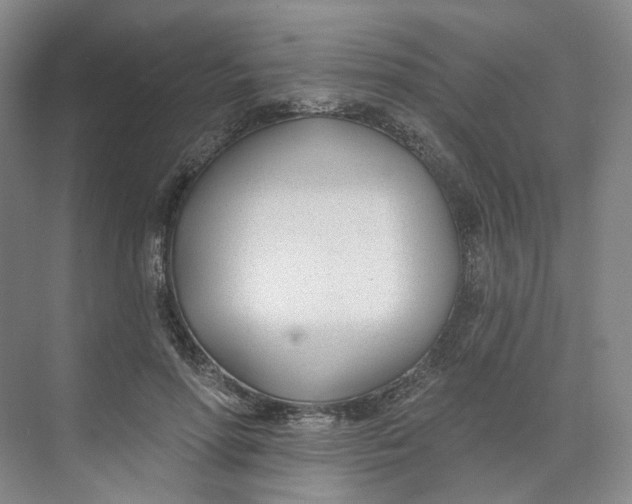 X0000073950598200609111652