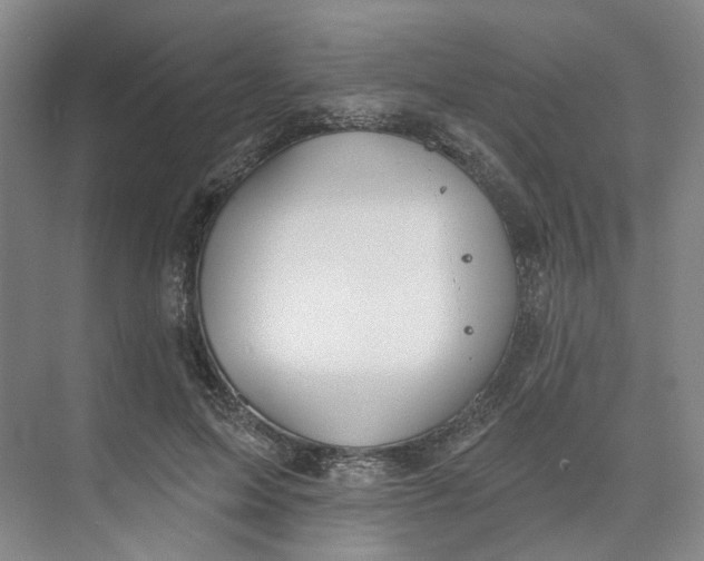 X0000073950599200609111652