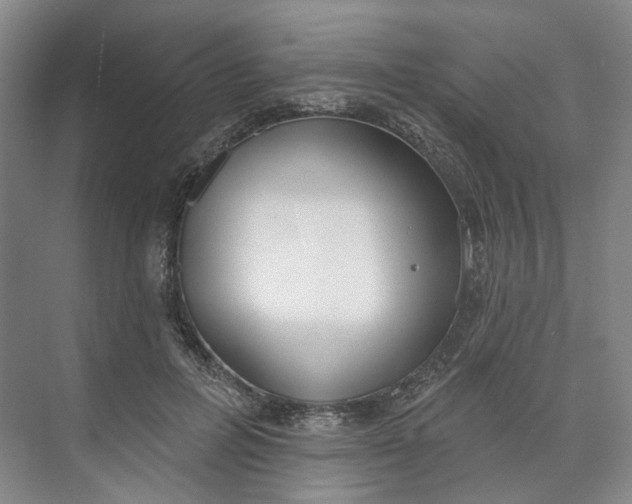 X0000073950600200609111652