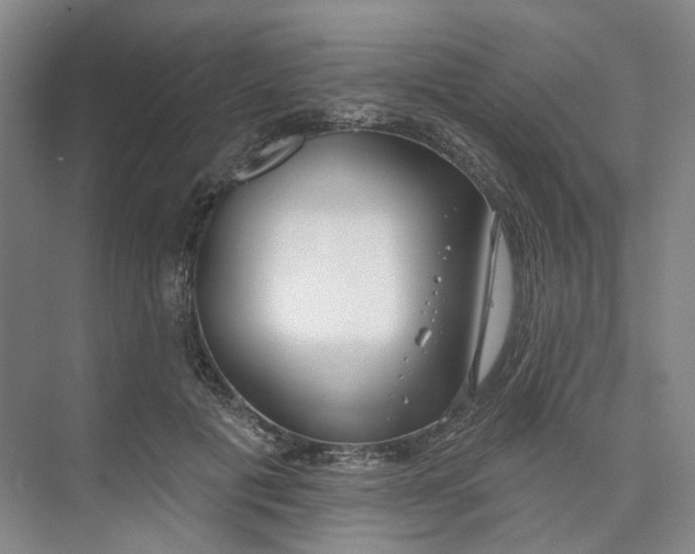 X0000073950601200609111652