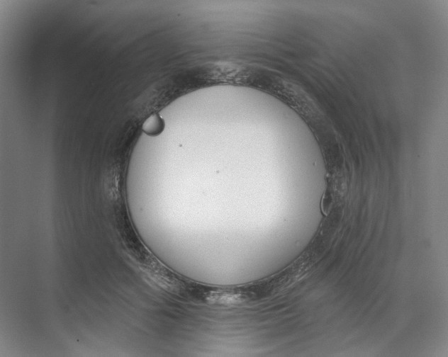 X0000073950602200609111652