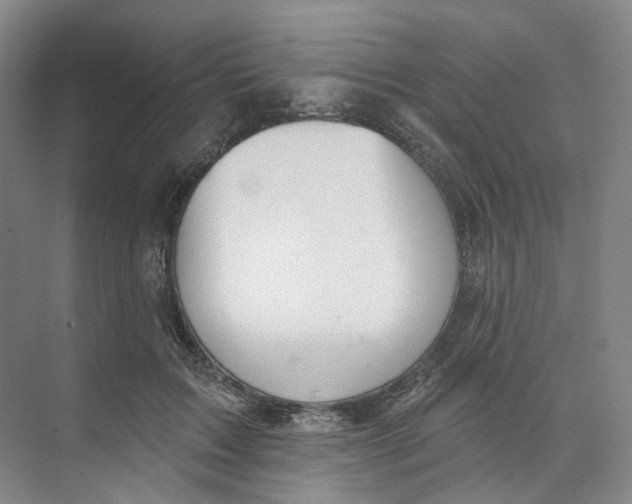 X0000073950603200609111652