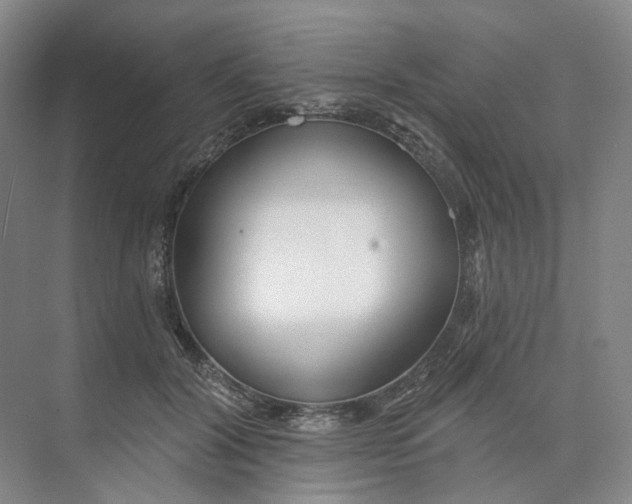 X0000073950604200609111652