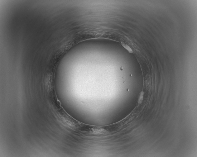 X0000073950605200609111652