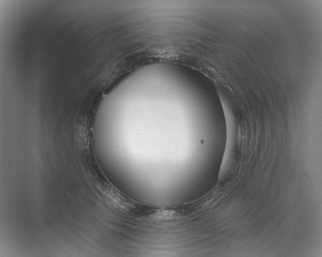 X0000073950609200609111652