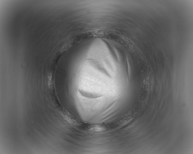 X0000073950610200609111652