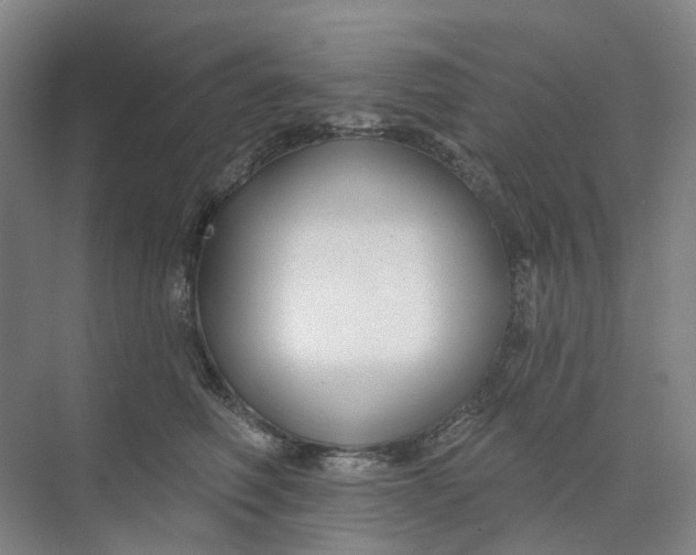 X0000073950614200609111652