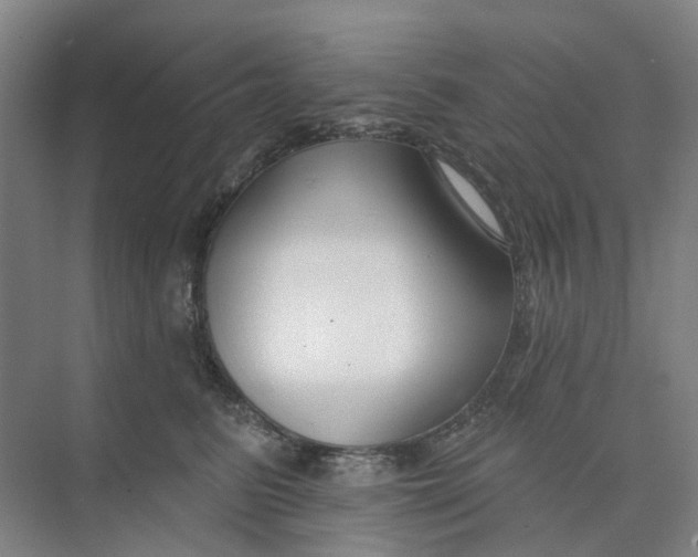 X0000073950615200609111652