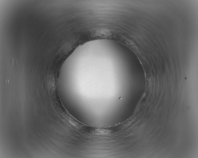 X0000073950617200609111652