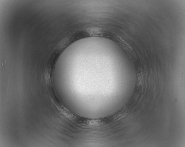 X0000073950618200609111652